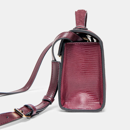 Zannone Burgundy Suede Crossbody | Dolce Vita